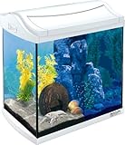 Tetra AquaArt LED Aquarium-Komplett-Set 30 Liter - inklusive LED-Beleuchtung, Tag- und Nachtlichtschaltung und EasyCrystal Innenfilter, ideal für Krebse und Garnelen, Farbe: Weiß