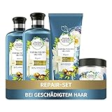 Herbal Essences PURE:renew Haarpflege Set: 2x Arganöl, Repair Shampoo 250 ml + 1x Pflegespülung 200 ml + 1x Haarmaske 250 ml, Haarpflege Arganöl, Haarpflege Glanz, Trockenes Haar, Damen, Aloe V