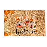 WENDAO Thanksgiving Home Herbst Fußmatte Teppich Bodenmatte Dekoration Welcome Fußmatte für Thanksgiving Herbst Kürbis Türmatte Welcome Mat für Front Outdoor Fußmatte Indoor Türmatten (D)