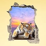 Wandtapete 3D - Wall Magic 100 x 120 cm - TIGER RESTING - Selbstklebende 3D-Tapete aus Vinyl Wand-Aufkleber Loch in der Wand Illusion Wandtattoo Wandstick