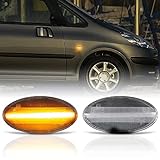 LED SEITENBLINKER passend für Peugeot 107, 108, 1007, 206, 307, 407, 607 | KLARGLAS