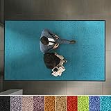 etm Hochwertige Fußmatte | schadstoffgeprüft | bewährte Eingangsmatte in Gewerbe & Haushalt | Schmutzfangmatte mit Top-Reinigungswirkung | Sauberlaufmatte waschbar & rutschfest (120x180 cm, Türkis)