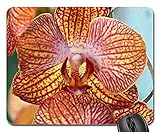 Mauspad Orchidee Phalaenopsis Orchidee Schmetterling Blumen Rosa Office Mauspad Komfort Office Mat Vernähte Kanten Mausmatte Für Office Computer Laptop 25X30C