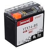 Accurat Motorradbatterie YTX14-BS 12Ah 200A 12V Gel Technologie + LCD Display Starterbatterie leistungsstark rüttelfest ABS geeignet wartung