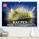 Raupen. Skurrile Verwandlungskünstler (Premium, hochwertiger DIN A2 Wandkalender 2022, Kunstdruck in Hochglanz)