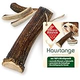 ChronoBalance® Geweih-Kaustange M (halbiert) für Hunde - 100% Hirschgeweih - Kauspielzeug, Zahnpflege, Kausnack, Geweih, Kauknochen, Kaugew