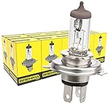 10x BREHMA H4 Halogen Lampe 12 Volt 60/55 Watt P43