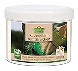 Florissa Raupenleim zum Streichen 500 g grü