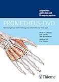 Allgemeine Anatomie und Bewegungssystem, 1 DVD-ROMFür Windows 98 SE/2000/ME/XP/V
