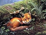 YJPZZG 1000 Stück Für Erwachsene Puzzle Fuchs Kunstsammlung, Puzzlekunst FüR Erwachsene Und Kinder, Hochwertiger Druck Fertige Größe 75×50