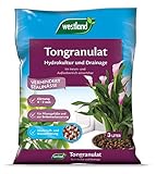 Westland Tongranulat, Hydroton, 734749, 3 L