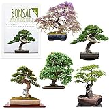 Exotische Bonsai Samen mit hoher Keimrate - Pflanzen Samen Set für deinen eigenen Bonsai Baum (5er Set inkl. GRATIS eBook)