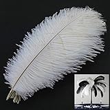 MWOOT 10 Stück Natürliche Straußenfedern, Strauß Feder Plume für Hochzeit Party Fest Tisch Herzstück Dekoration (Weiß, 25-30cm)