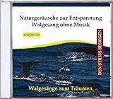 Naturgeräusche zur Entspannung - Walgesang ohne Musik - Walgesänge - Walgeräusche mit Meeresrauschen auf CD - Tiergeräusche - Naturklänge - W