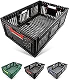 RENOPAX große, faltbare Profi Klappbox in robuster, stabiler Industriequalität, 60x40x22cm, 46 ltr., (Schwarz), Transportbox, Faltbox, Klappk