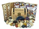 Schatzkiste mit echten Mineralien, Edelsteinen und Fossilien | Ideal zum Entdecken und Lernen über die Schätze der Natur | Geschenkidee für Kinder zum Spielen und Ausgraben bei der S