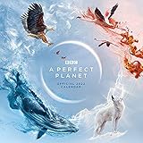 Official BBC Perfect Planet 2022 Calendar - Month To View Square Wall Calendar (The Official Perfect Planet Square Calendar 2022)