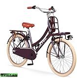 Hoptec Mädchenrad Altec Transportfahrrad 3 Gang Lila 24 Z