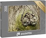 puzzleYOU: Puzzle 2000 Teile „DREI Steinkäuze in Einer Baumhöhle“