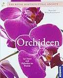 Orchideen: Die schönsten Arten und S