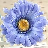 XINDUO Lange Blütezeit winterhart,Vier Jahreszeiten Landschaftspflanze Gerbera Gänseblümchen Samen-W-3# _0.25kg,Samen saatgut winterhart mehrjährig
