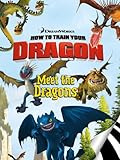 How to Train Your Dragon: Meet the Dragons (I Can Read Book 2) (English Edition)