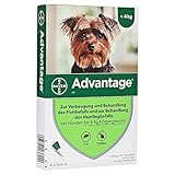 ADVANTAGE 40 Lösung f.Hunde bis 4 kg 4 S