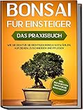 Bonsai für Einsteiger – Das Praxisbuch: Wie Sie den für Sie richtigen Bonsai auswählen, aufziehen, zuschneiden und pflegen – inkl. der 10 besten Tipps für die B