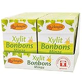 Birkengold Xylit Bonbons Minze zuckerfrei, 12er Pack | zahnpflegend | zuckerfrei | mit 100 % europäischem Xylit | natürliche Zutaten, 1305