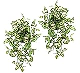 Künstlicher Tradescantiahänger mit Topf, 2er Set Kunstpflanze Tradescantia hängend Deko Hängepflanze Rankende Girlande Pflanzenampel Ampel Grünpflanze Zimmerpflanze Kletterpflanze Efeuranke E