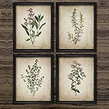 RHWXAX Vintage Kräuterkunst Leinwand Poster und Drucke, Oregano Rosmarin Sage Thymian Leinwand Malerei Retro Wandbilder Home Kunst Wanddekor 12x16x4 inch Kein R