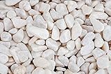 Brynnberg Dekosteine - Dekogranulat kleine Kieselsteine Marmorsteine abgerundet, Perfekt für Vasen und Pflanzen, Hohe Vielseitigkeit (Natur, 850g)