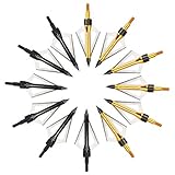 REAWOW 12 Stück Mit 3 Festen Pfeil- Und Bogenjagdpfeilen Mit Pfeilaufbewahrungsbox Für Das Zielübungsschießen Kompatibel Mit Armbrust Und Compoundbog