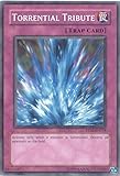 Yu-Gi-Oh! - Torrential Tribute (RP02-EN034) - Retro Pack 2 - Unlimited Edition - Common by Yu-Gi-Oh!