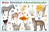 Mein Streichel-Adventsk