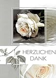 Trauer Danksagungskarten Trauerkarten mit Innentext Motiv Rose 10 Klappkarten DIN A6 im Hochformat mit weißen Umschlägen im Set Dankeskarten Dankeschön Karten Kuvert Danke sagen Beileid K254