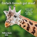 Einfach tierisch gut drauf 2020 - Broschürenkalender - Wandkalender - mit herausnehmbarem Poster - Format 30 x 30