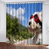 LWXBJX Blickdicht Vorhang für Schlafzimmer - Weiß Hund Brille - 3D Druckmuster Öse Thermisch isoliert - 234 x 230 cm - 90% Blickdicht Vorhang für Kinder Jungen Mädchen Sp