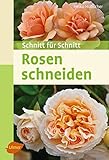 Rosen schneiden: Schnitt für S