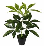 Flair Flower Schefflera Pflanze im Topf Real Touch Kunstpflanzen Zimmerpflanzen künstlich Dekopflanze Grünpflanze Seidenblumen Büropflanze 50cm, Polyester, Kunststoff, Grün, 50 x 28 x 28