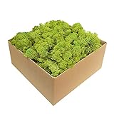 GJS Islandmoos - Moos in 1kg / 500g / 200g, versch. Farben - Echtes konserviertes Natur-Moos (Island) zum Basteln, Dekomoos für die Deko zu Ostern, Modellbau (hellgrün, 500g)
