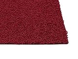 HEVO® Fiji Paspelteppich in Farbe Rot - EIN edler Pasperlierter Teppich in 200x300