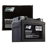 Batterie Serie Pro 12V 5AH (SLA4L-BS) Rollerbatterie (versiegelt/wartungsfrei) 112x68x89