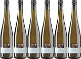 Winzer von Erbach Erbacher Honigberg Riesling Alte Reben'vom Löss' 2020 Trocken (6 x 0.75 l)