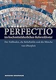 Perfectio im hochmittelalterlichen Reformkloster: Der Fußboden, die Relieftafeln und die Mönche von Oberp