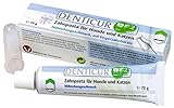 Denticur Zahnpasta RF2 mit Fingerzahnbü