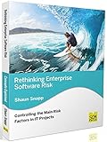 Rethinking Enterprise Software Risk: Controlling the Main Risk Factors on It Proj