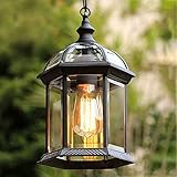 Outdoor Höhenverstellbar Pendellampe Retro Außen/Innen Hängeleuchte E27 Schwarz Wasserdichter IP23 Aluminium Glas Lampenschirm Pendelleuchte für Garten Flur Balkon Pavillon Villa Trauben R