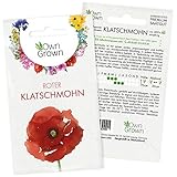 Roter Klatschmohn Samen: Premium Mohnsamen für ca. 400 blühende Mohn Pflanzen – Schöne Mohnblumen Samen kaufen – Blumensamen, Blumenwiese Samen, Own Grown Samen, Wildblumensamen – Saatgut von OwnGrow