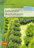 Gesunder Buchsbaum: Krankheiten und Schädlinge erkennen und erfolgreich b